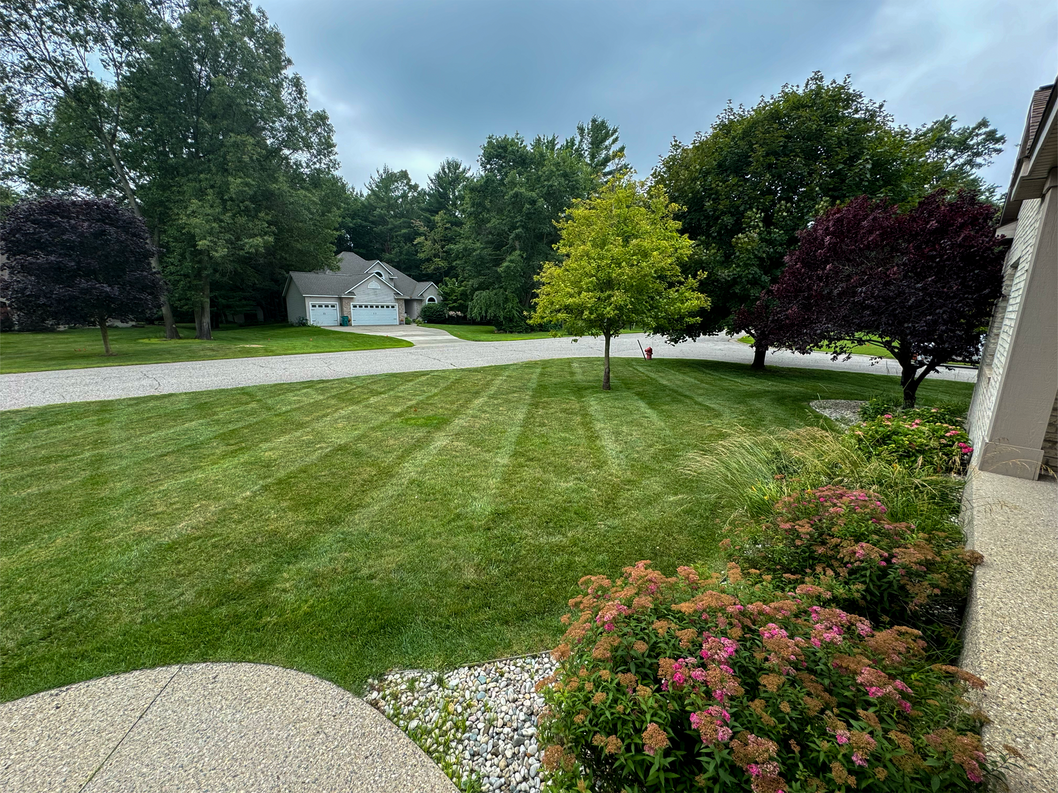 Professional lawn maintenance service