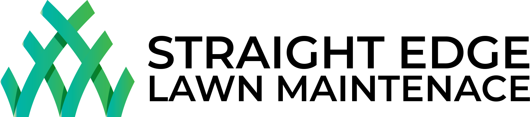 Straight Edge Lawn Maintenance logo